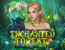 Enchanted Forest