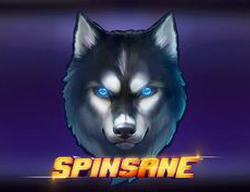 Spinsane
