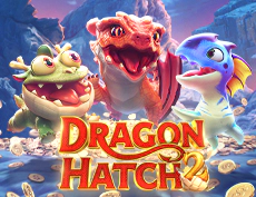 Dragon Hatch 2