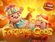 Fortune Gods