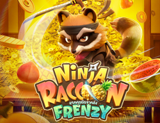 Ninja Raccoon Frenzy