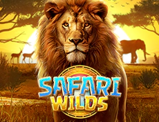 Safari Wilds