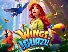 Wings of Iguazu