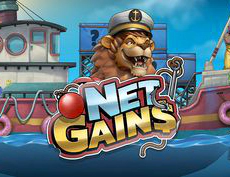 Net Gains